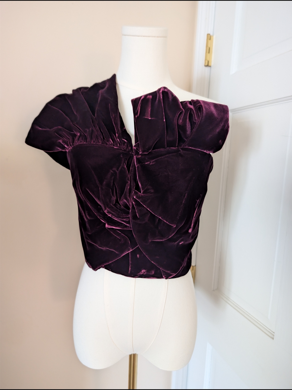 NWT AMMARA Velvet One-Shoulder Top Silk Lined Deep Plum Size 0